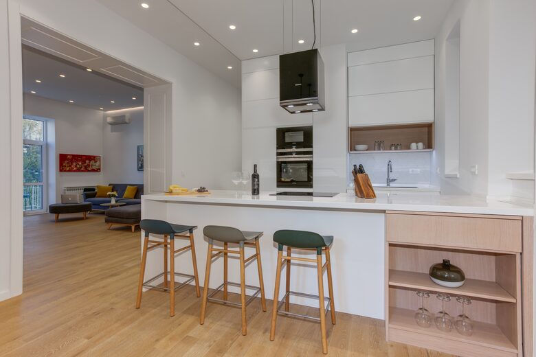 Belgrade - 1918 restored tall ceilings gem - Belgrade, Serbia