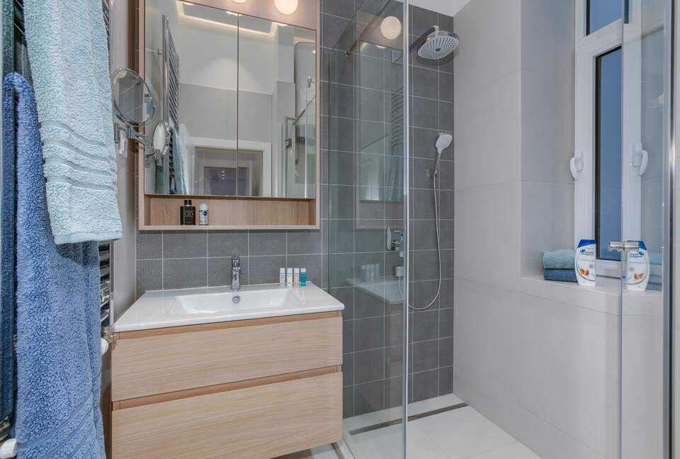 Belgrade - 1918 restored tall ceilings gem - Belgrade, Serbia