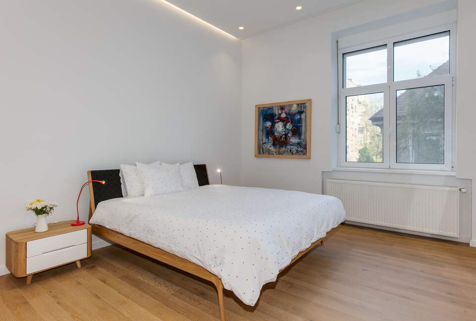 Belgrade - 1918 restored tall ceilings gem - Belgrade, Serbia