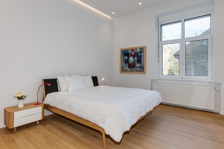 Belgrade - 1918 restored tall ceilings gem - Belgrade, Serbia