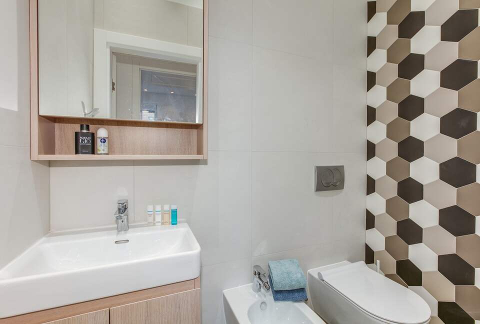 Belgrade - 1918 restored tall ceilings gem - Belgrade, Serbia