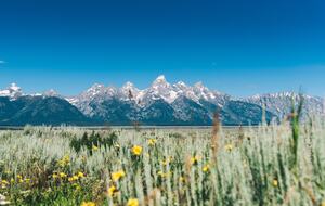 Jackson Hole Jewel - Jackson, Wyoming
