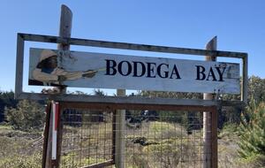 Entrance to Bodega Bay.