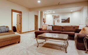 Lower level living room
