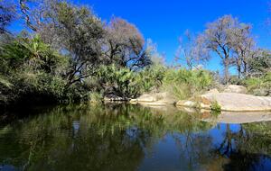 Lubbesrust Boutique Lodge - Tuli Block, Botswana