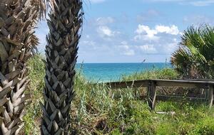 Pineapple Paradise Oceanfront Home - New Smyrna Beach, Florida