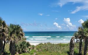 Pineapple Paradise Oceanfront Home - New Smyrna Beach, Florida