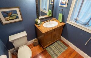 Pineapple Paradise Oceanfront Home - New Smyrna Beach, Florida