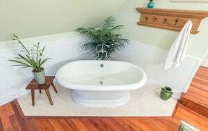 Pineapple Paradise Oceanfront Home - New Smyrna Beach, Florida