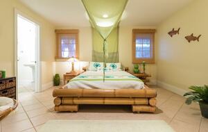 Pineapple Paradise Oceanfront Home - New Smyrna Beach, Florida