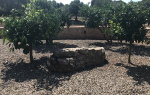 Modern Mallorca Finca - Artà, Spain