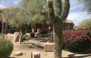 Home Exchange in Scottsdale, Arizona