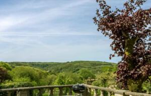 Bantam Cottage - Ilfracombe, United Kingdom