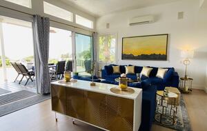 Blue Living Room Leading out to Covered Deck