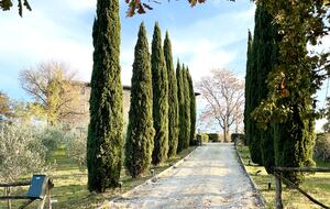 Villa Cavagnetti - Pietralunga, Italy