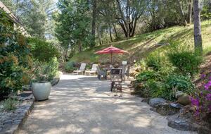 Vineyard Hilltop Retreat - Plymouth, California