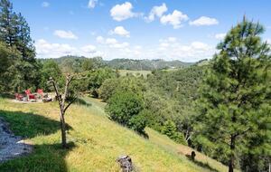 Vineyard Hilltop Retreat - Plymouth, California