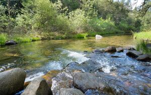 Vineyard Hilltop Retreat - Plymouth, California