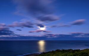 The Ocean Retreat - Falmouth, Australia