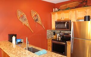 Snowshoe Ski-In/Ski-Out Studio - Snowshoe, West Virginia