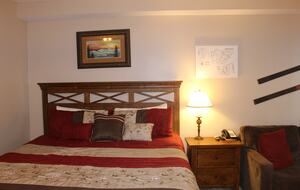 Snowshoe Ski-In/Ski-Out Studio - Snowshoe, West Virginia