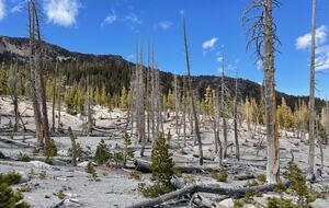 Mammoth Mountain 4-Bedroom (sleeps 10) just steps from Canyon Lodge - Ski back to the house! Renovated space with stocked kitchen. - Mammoth Lakes, California