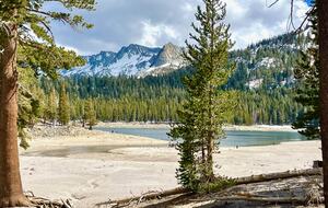 Horseshoe Lake, Mammoth Lakes, CA