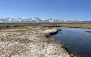 Owens River - World Class Trout Fishing 15 minutes away