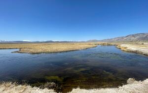 Owens River - World Class Trout Fishing 15 minutes away