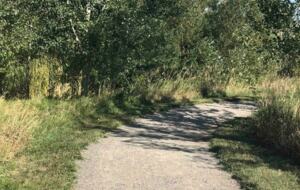 New Prairie Craftsman Charmer - Bozeman, Montana