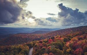 Snowshoe Black Bear Crossing #22 - Snowshoe, West Virginia