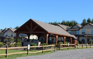 Snowshoe Black Bear Crossing #22 - Snowshoe, West Virginia