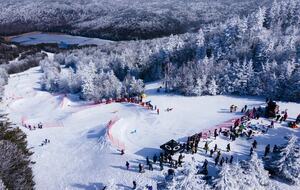Snowshoe Black Bear Crossing #22 - Snowshoe, West Virginia