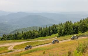 Snowshoe Black Bear Crossing- #34 - Snowshoe, West Virginia