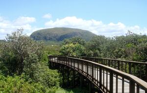 Mount Coolum