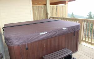 Snowshoe Black Bear Crossing #22 - Snowshoe, West Virginia