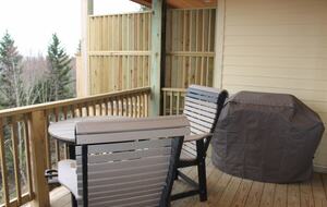 Snowshoe Black Bear Crossing #22 - Snowshoe, West Virginia