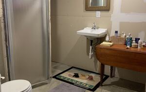 Shower in basement