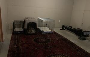 Basement - dog crates / rower