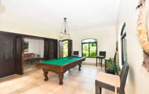 Tortuga Bay Private Villa - Punta Cana, Dominican Republic