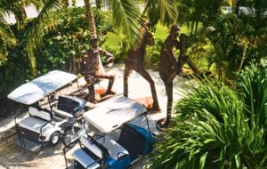 Tortuga Bay Private Villa - Punta Cana, Dominican Republic