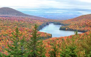 Longwood | Cozy Vermont Country Cottage - West Glover, Vermont