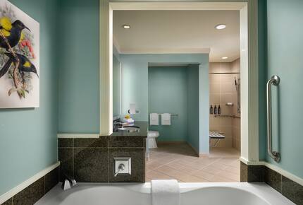 The Westin Ka'anapali Ocean Resort Villas - Studio - Maui, Hawaii