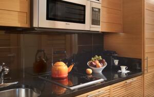 Viceroy Hotel Ski-In/Ski-Out Sanctuary - Snowmass Village, Colorado