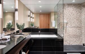 Viceroy Hotel Ski-In/Ski-Out Sanctuary - Snowmass Village, Colorado