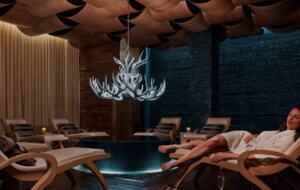 Viceroy Hotel Ski-In/Ski-Out Sanctuary - Snowmass Village, Colorado