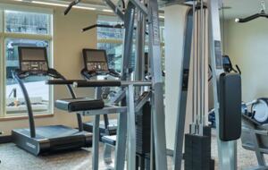 Viceroy Hotel Ski-In/Ski-Out Sanctuary - Snowmass Village, Colorado