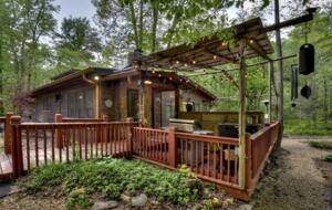 "A River Runs Through It" Chic Georgia Cabin - Cherry Log, Georgia