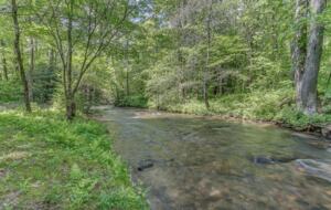 "A River Runs Through It" Chic Georgia Cabin - Cherry Log, Georgia