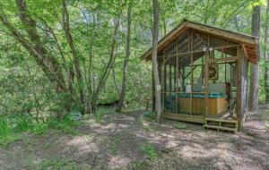 "A River Runs Through It" Chic Georgia Cabin - Cherry Log, Georgia